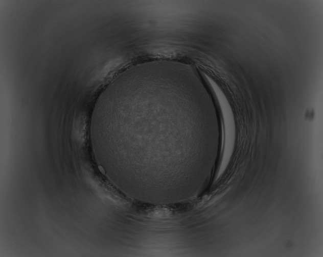 X0000091480600200708301916