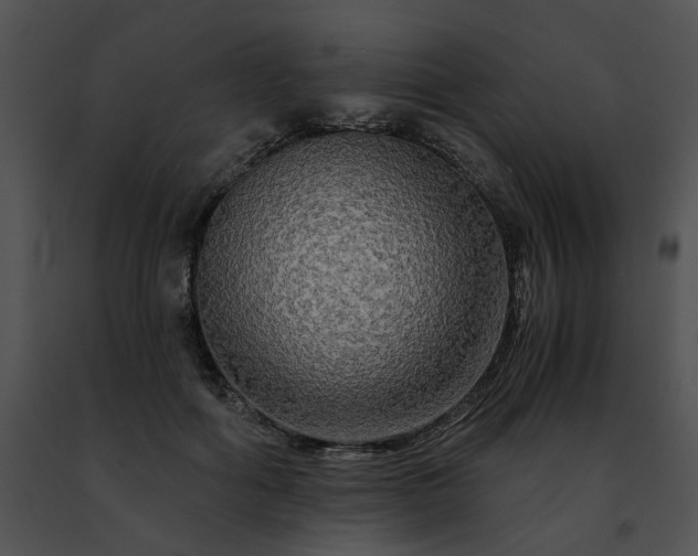 X0000091480602200708301916