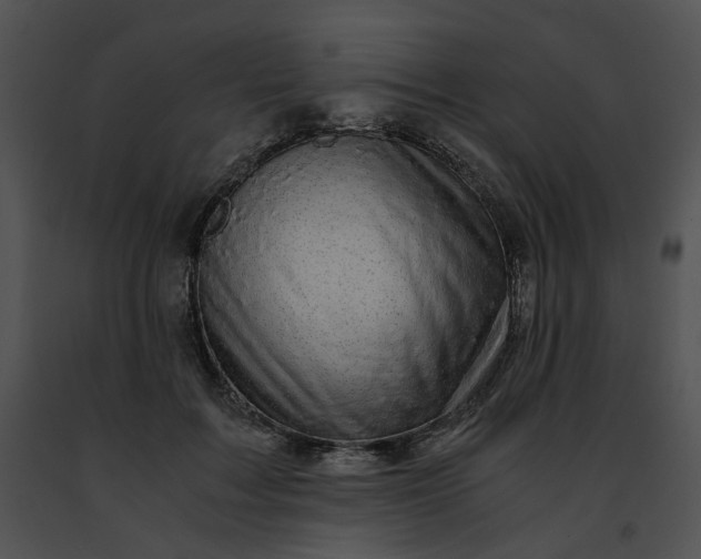 X0000091480603200708301916