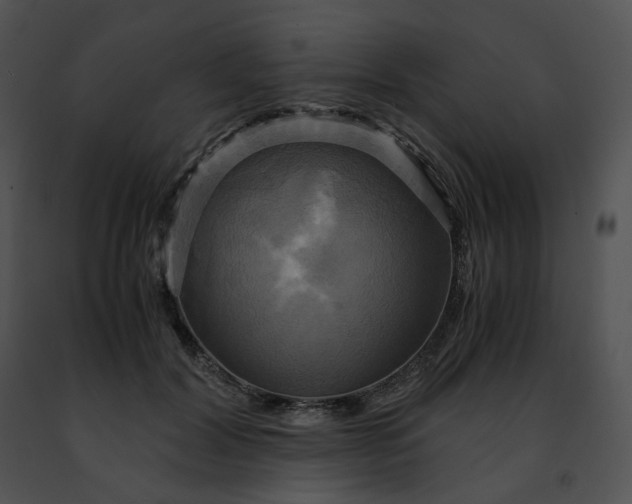 X0000091480604200708301916