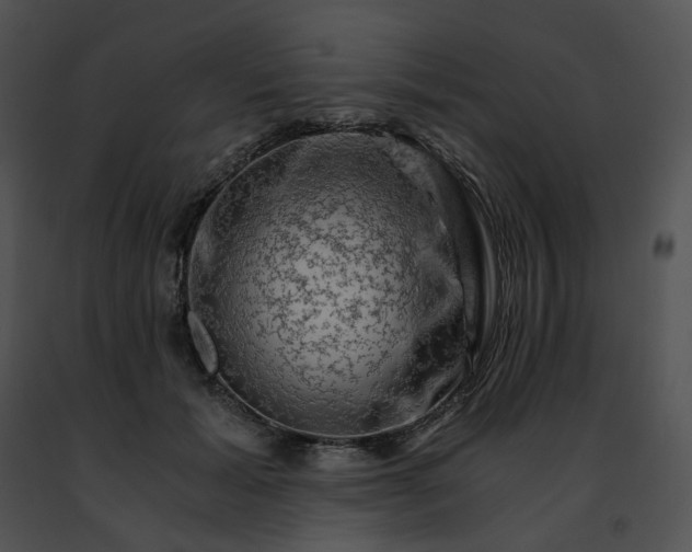 X0000091480605200708301916