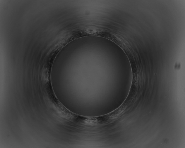 X0000091480606200708301916