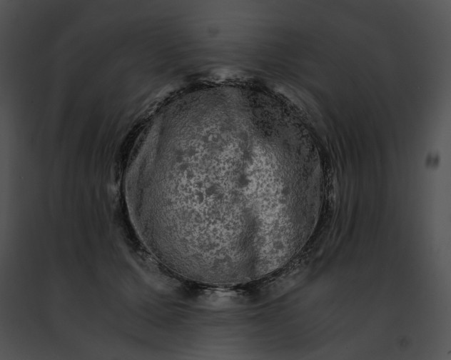 X0000091480607200708301916