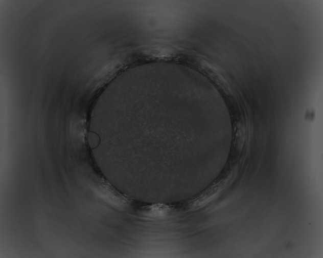 X0000091480612200708301916