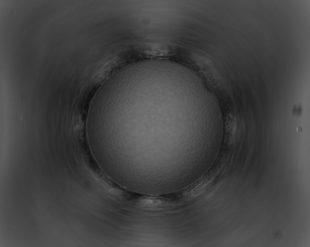 X0000091480614200708301916