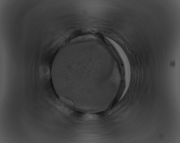 X0000091480617200708301915