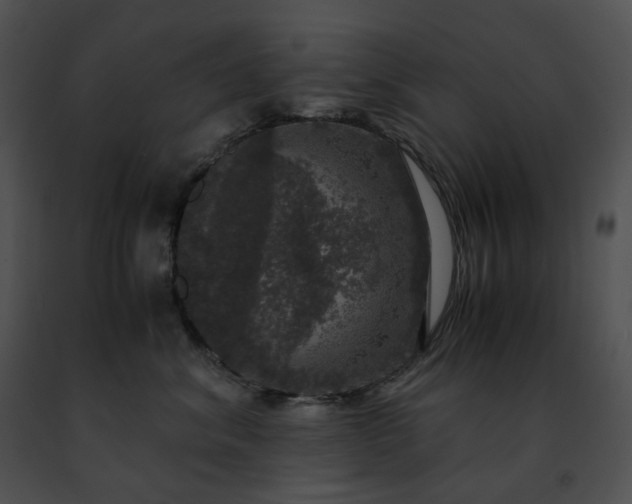 X0000091480620200708301915