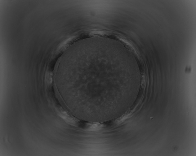 X0000091480621200708301915