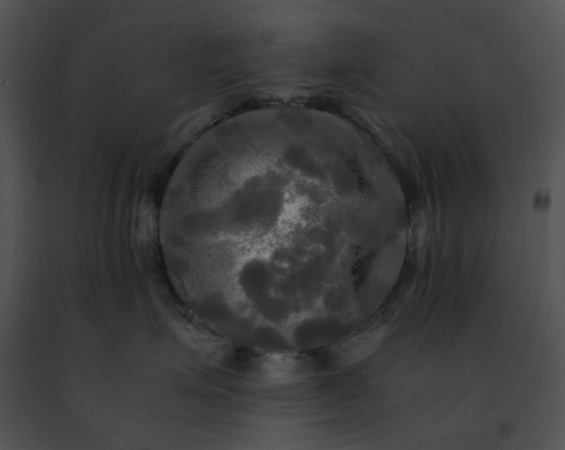 X0000091480623200708301915