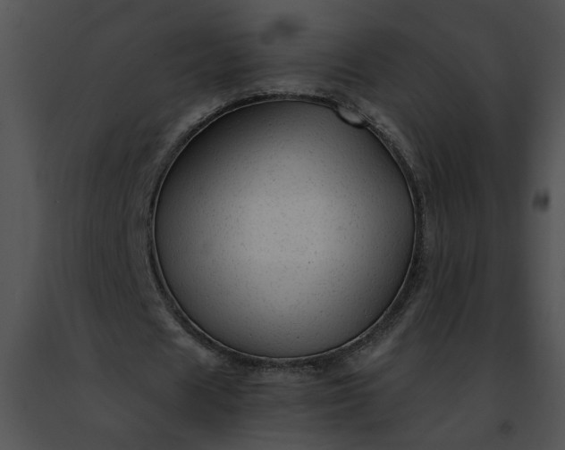 X0000091480625200708301915