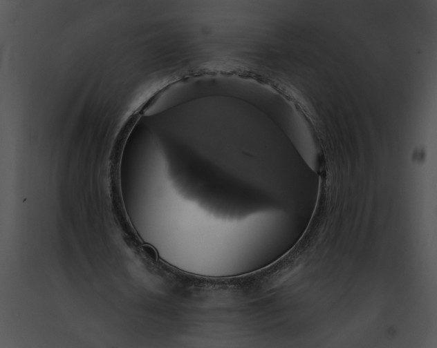 X0000091480626200708301915