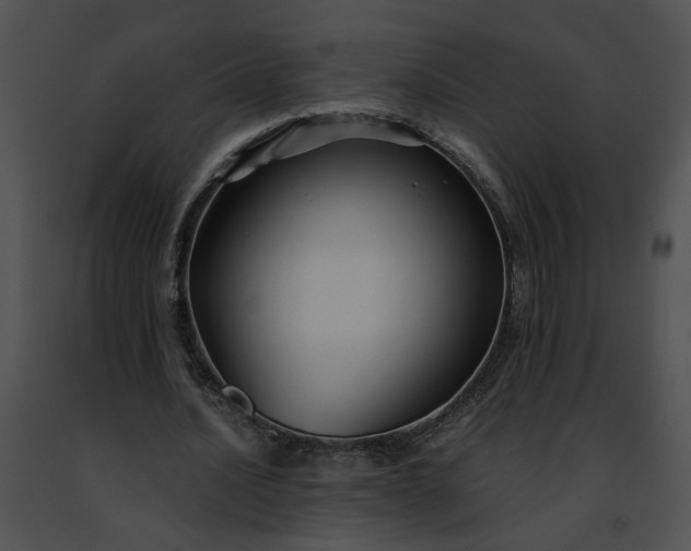 X0000091480628200708301915