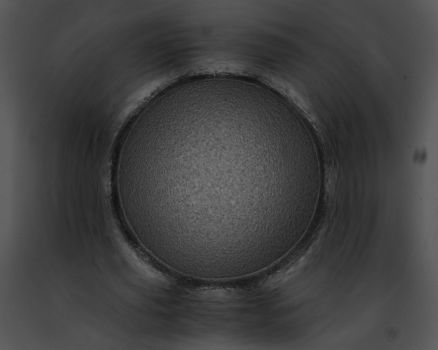 X0000091480629200708301915