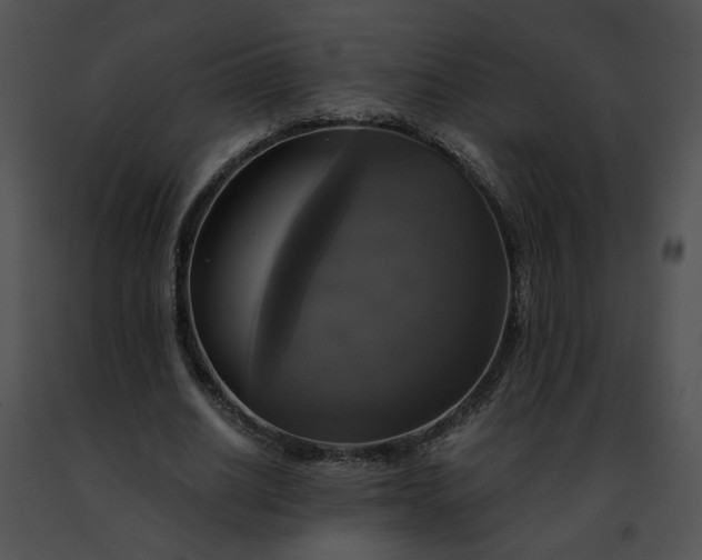 X0000091480630200708301915