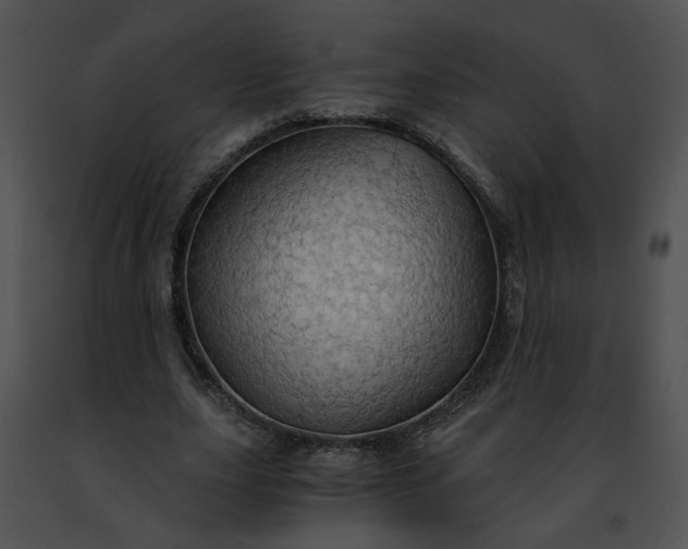 X0000091480631200708301915