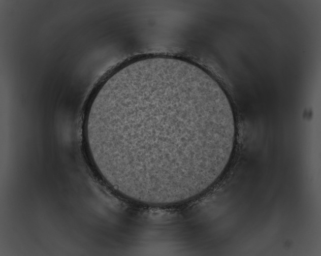 X0000091480632200708301915