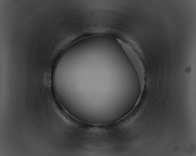 X0000091480633200708301915