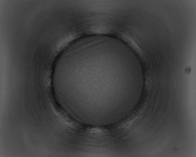 X0000091480635200708301915