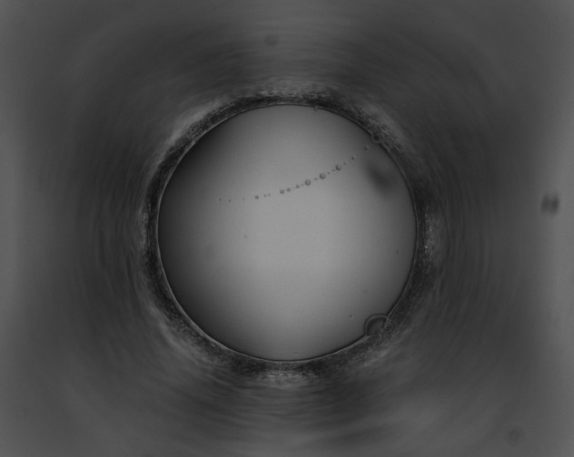 X0000091480636200708301915