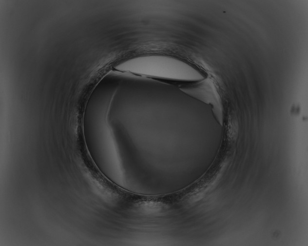 X0000091480637200708301915