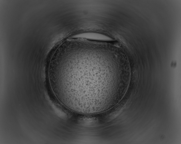 X0000091480638200708301915