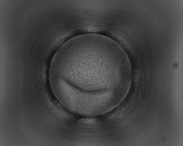 X0000091480639200708301915