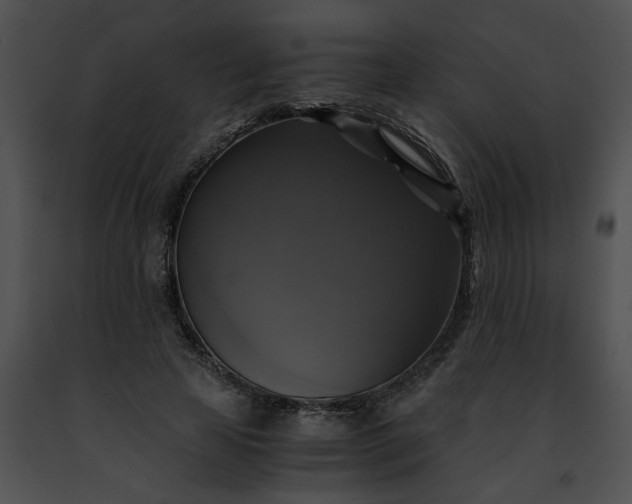 X0000091480641200708301915