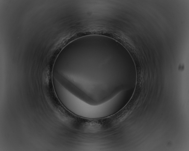 X0000091480644200708301915