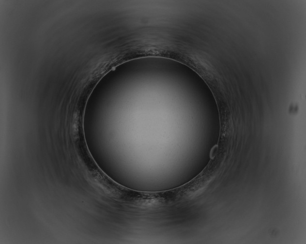 X0000091480646200708301915