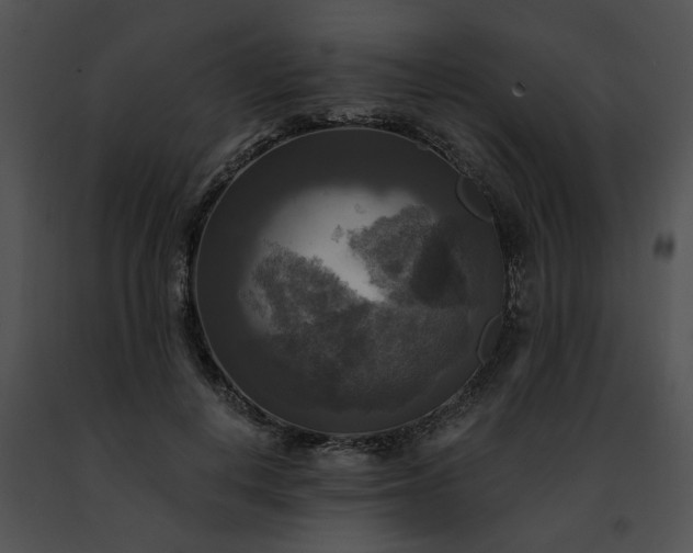 X0000091480648200708301915