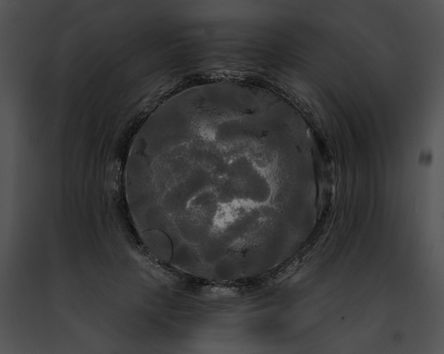 X0000091480649200708301915