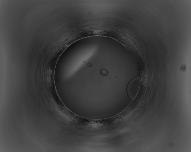 X0000091480650200708301915