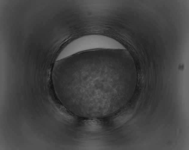 X0000091480652200708301915