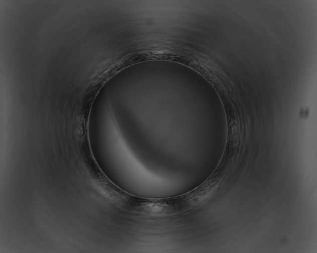 X0000091480654200708301915