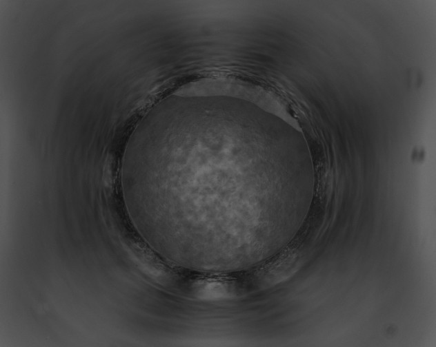 X0000091480655200708301915