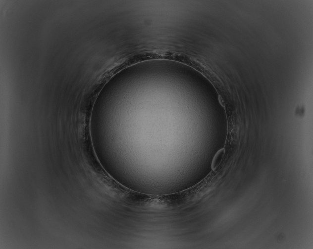 X0000091480656200708301915