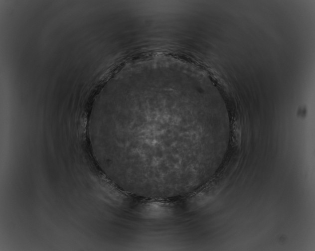 X0000091480657200708301915