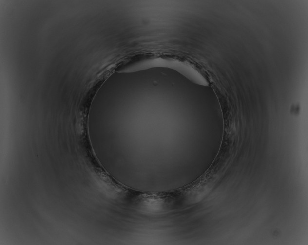 X0000091480658200708301915