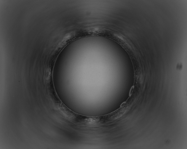 X0000091480660200708301915