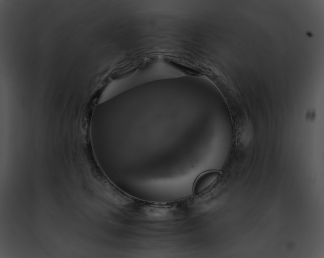 X0000091480661200708301915