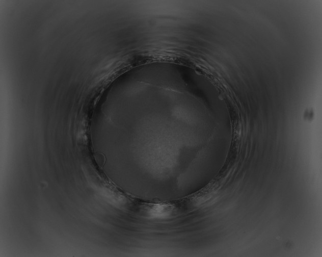 X0000091480663200708301915