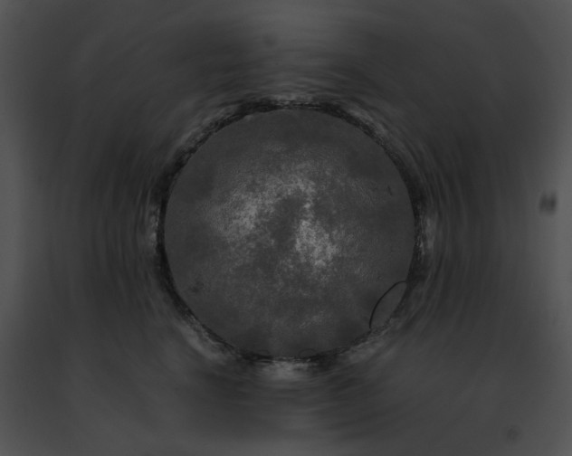 X0000091480664200708301915