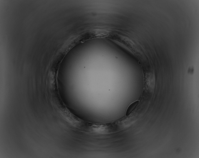 X0000091480667200708301915