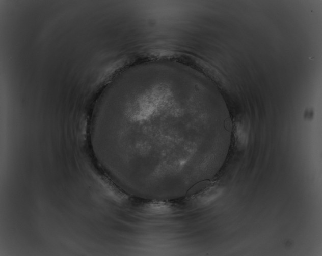 X0000091480668200708301915