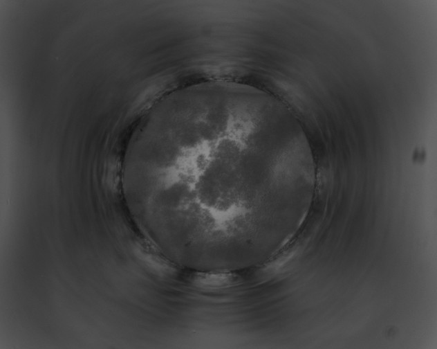 X0000091480671200708301915