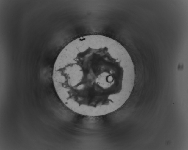 X0000091480672200708301915