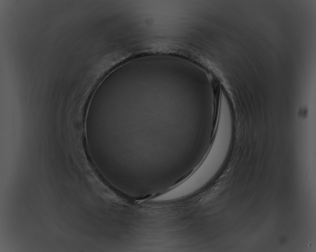 X0000091480673200708301915