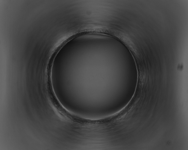 X0000091480674200708301915