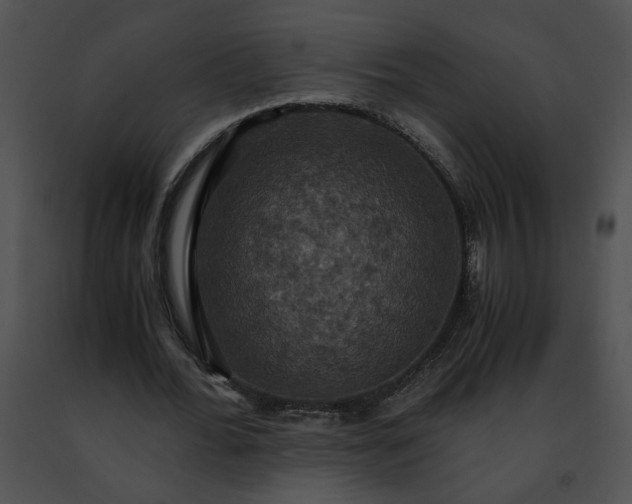 X0000091480676200708301915