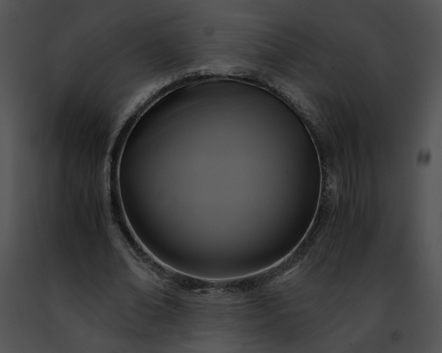 X0000091480678200708301915